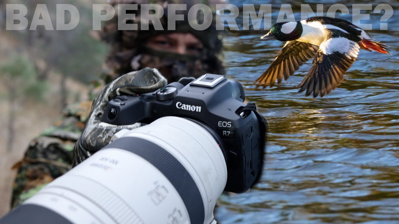Фотосъёмка дикой природы на CANON R7: не слишком ли я нагружаю эту камеру?