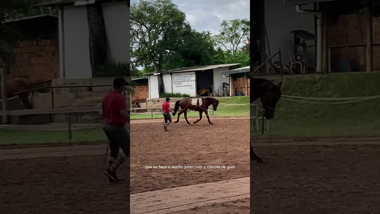 Uso da r&eacute;dea Neco | @equitamais #shorts
