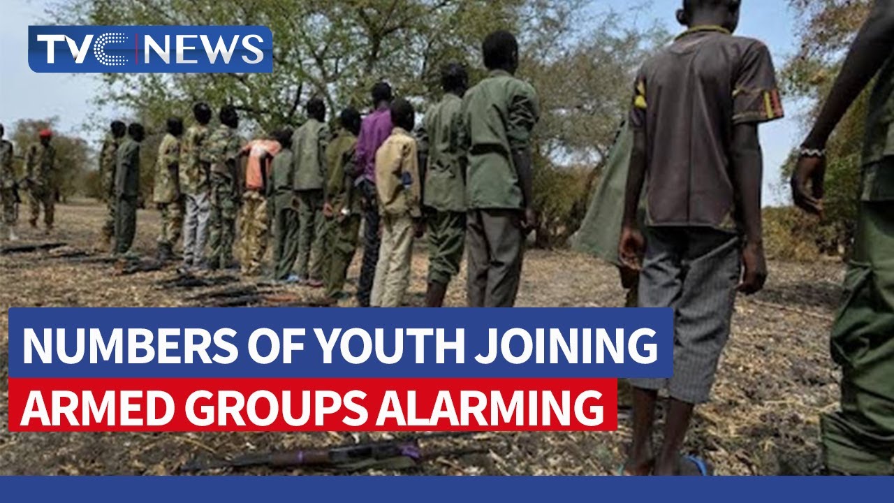 Numbers Of Youth Joining Armed Groups Alarming - NSA