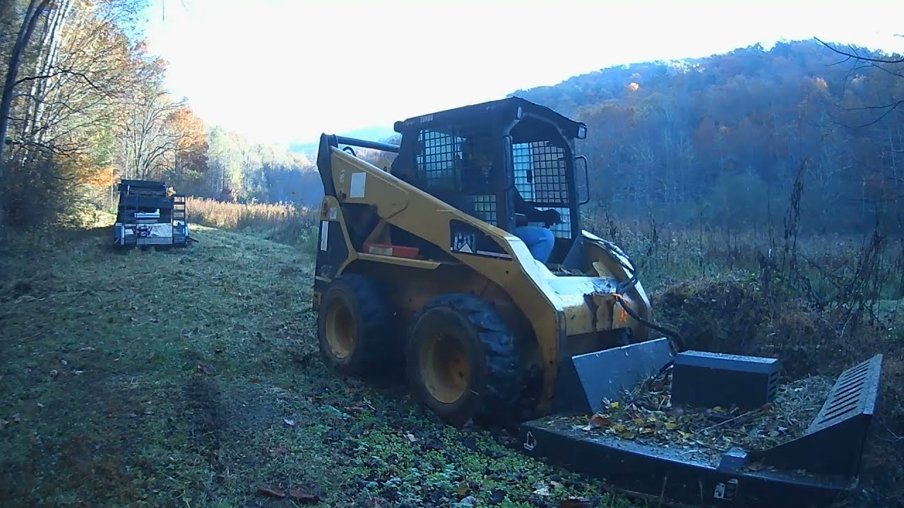 Reclaiming overgrown pasture