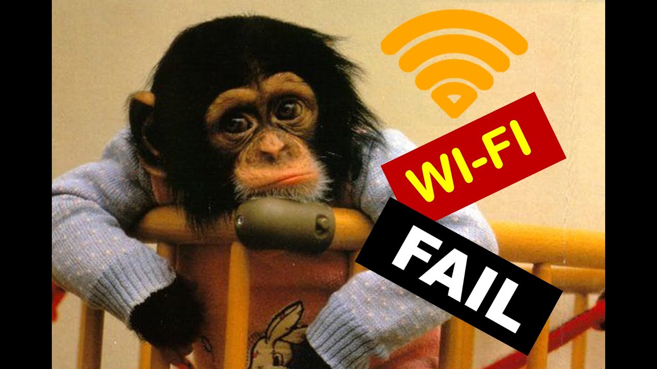 Fail of the day june 2016 | Monkey & Wi-Fi || FailTrends