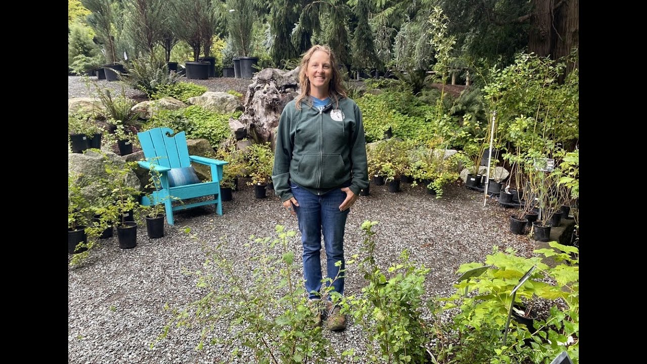 How to Make Your Garden More Climate Resilient