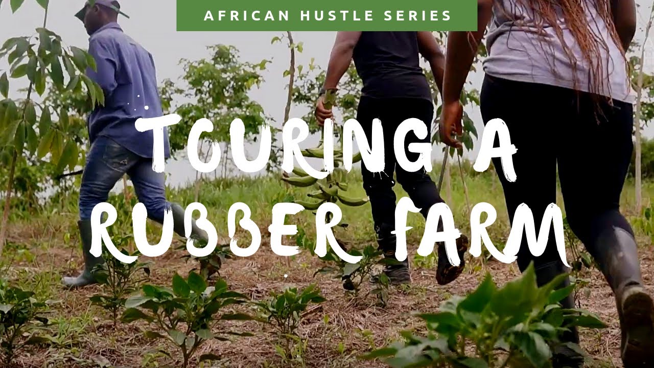 HOW RUBBER IS MADE: TOURING A RUBBER FARM IN GHANA
