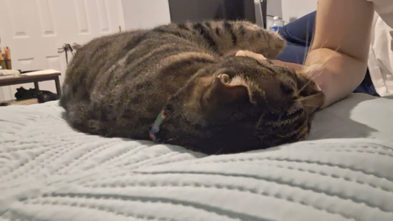 Appreciate the things in your life