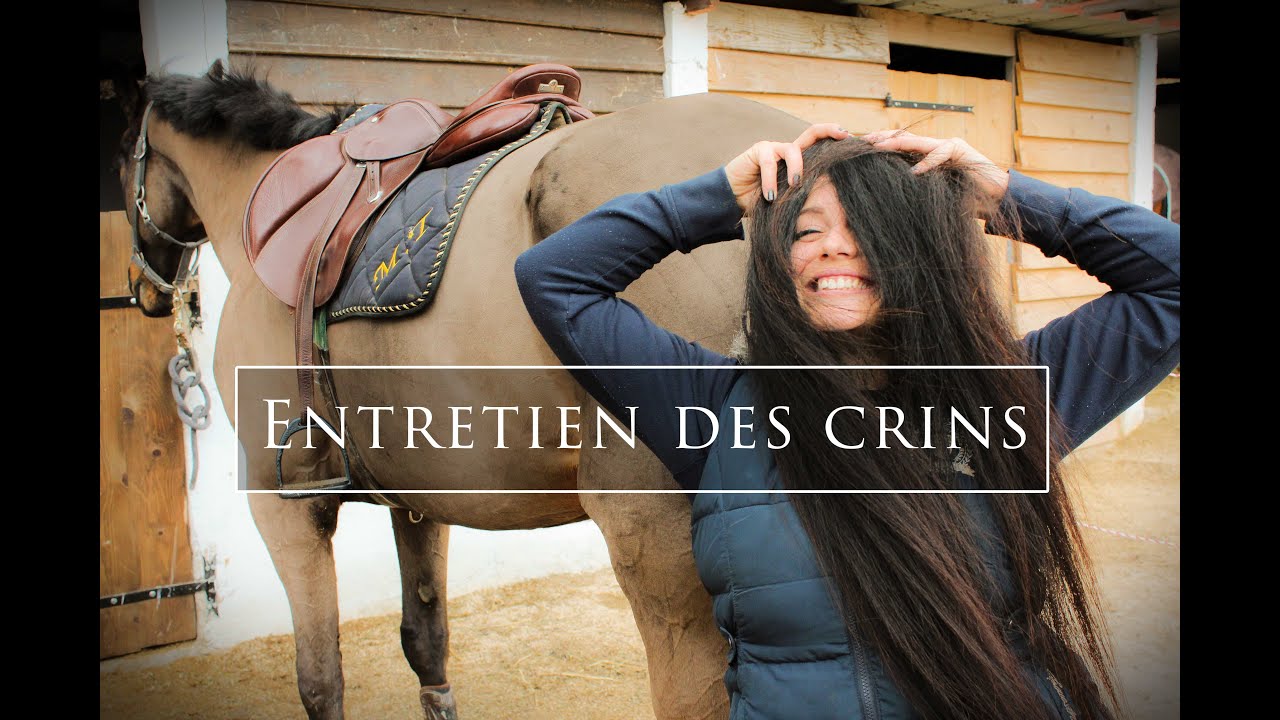 ENTRETIEN DE LA QUEUE, DE LA CRINIERE ET DES FANONS DU CHEVAL  ✂️