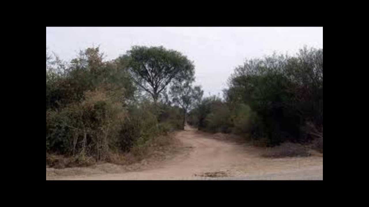 Hermanos Simón La tunera Chacarera