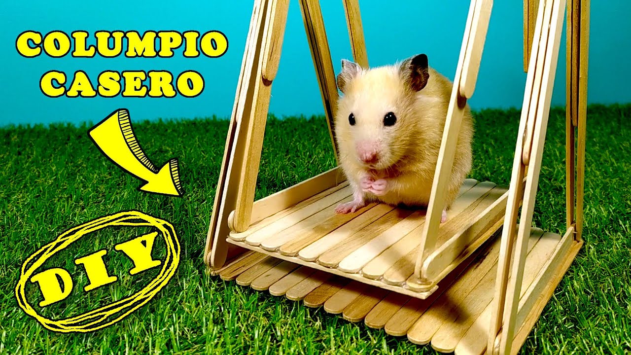 Columpio Casero con Palitos de Helado para Hámster