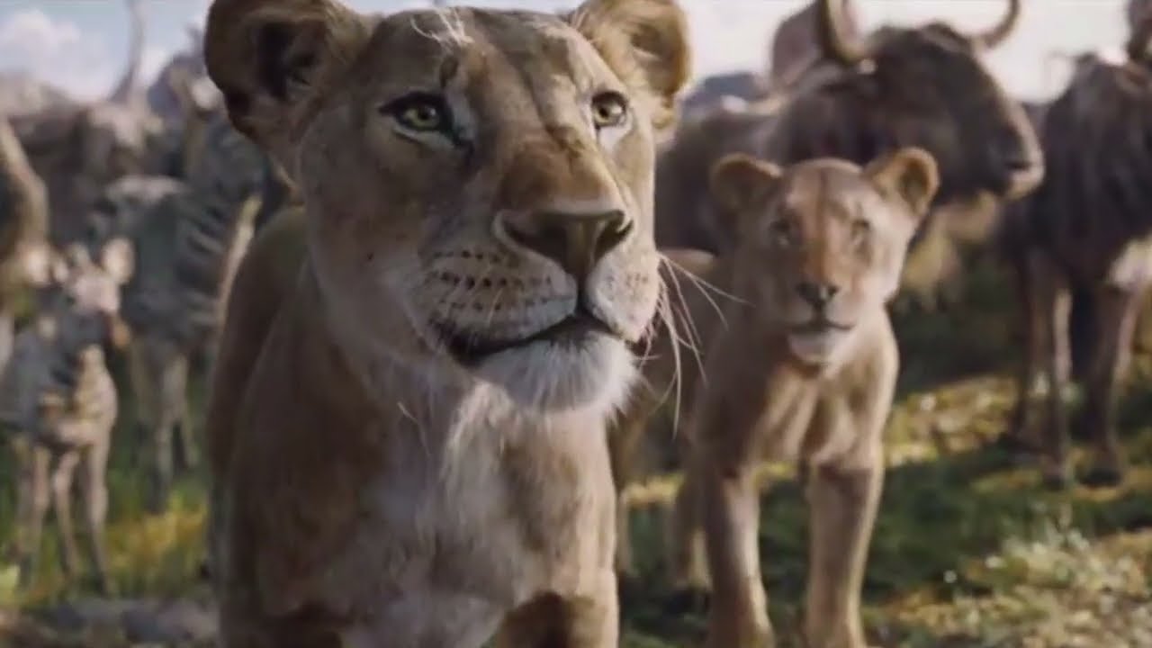 Mufasa x Sarabi Moments (Part 3) (13+)