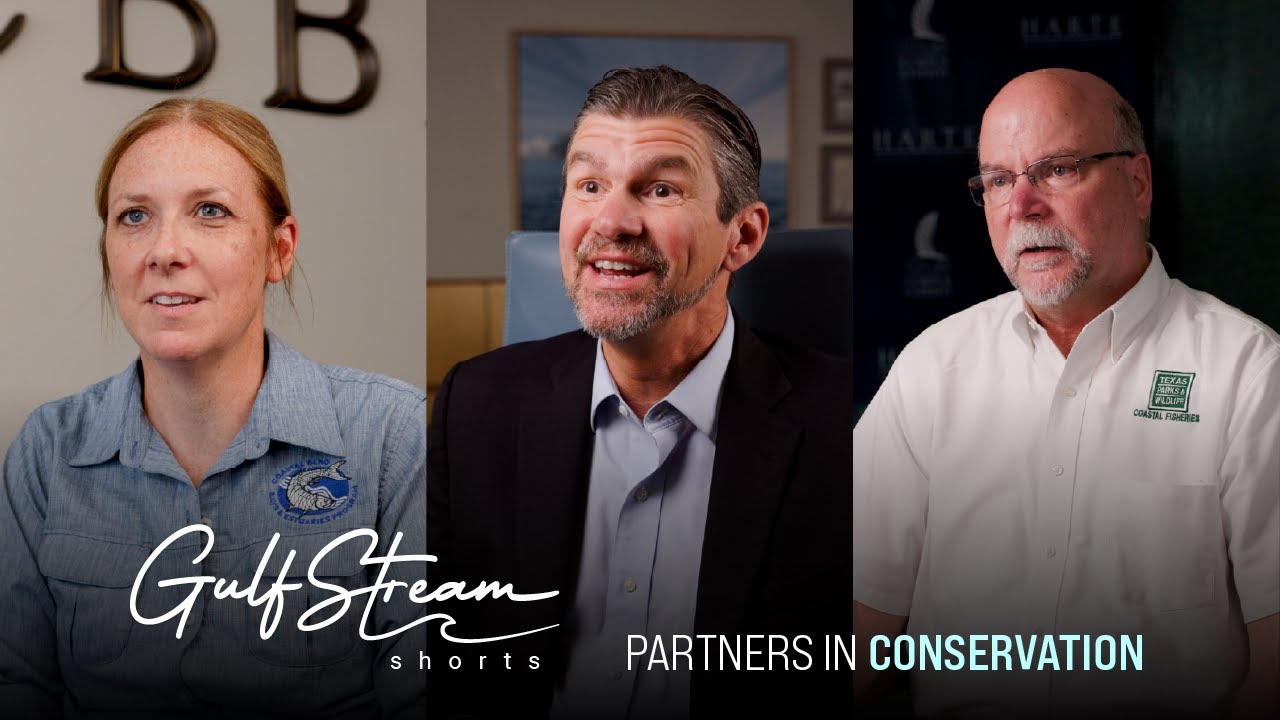 Gulf Stream Shorts: Partners In Conservation