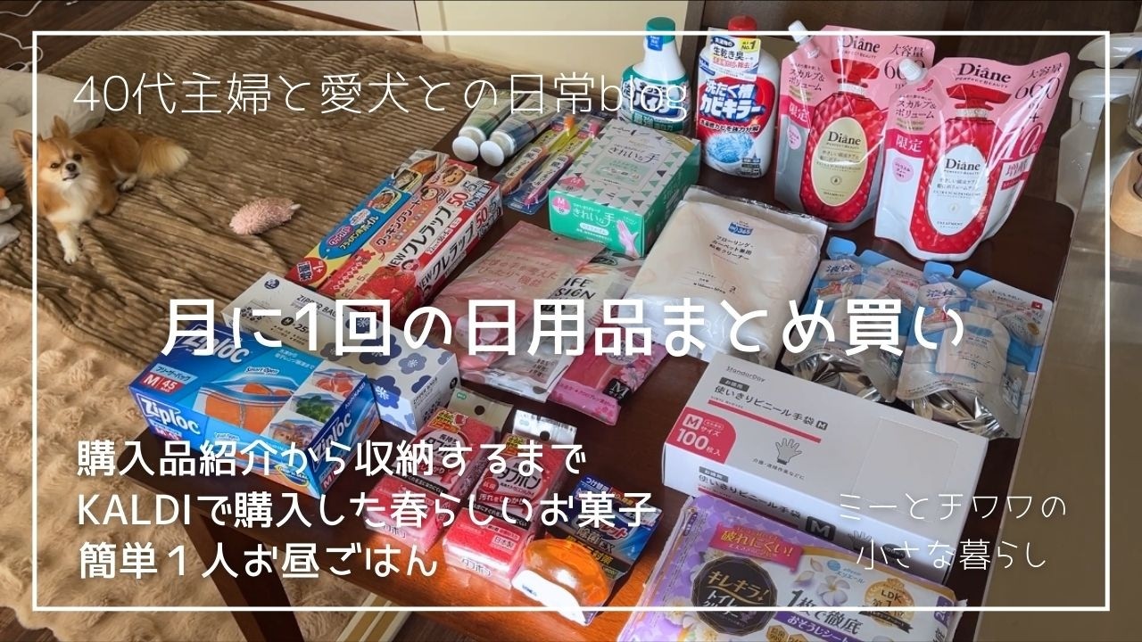 月に1回の日用品のまとめ買い/購入品紹介から収納するまで/KALDIで買った春らしいお菓子/簡単1人お昼ごはん/お家を整えたい主婦と愛犬との日常blog