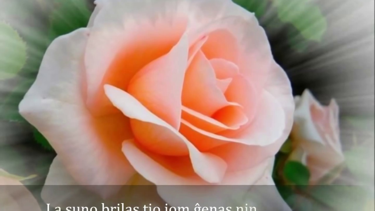 Origina kanto en esperanto - Ĉio estus vana - SoNori subtitoloj