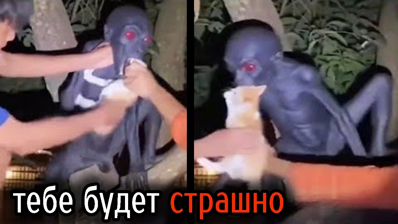Самые Ужасные Видео со Всего Мира #124