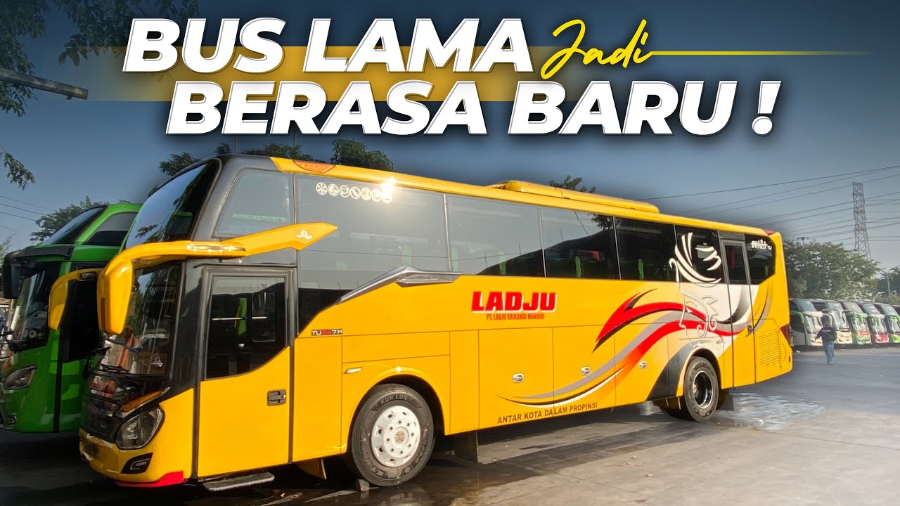 PILIHAN MENARIK DARI SURABAYA ke JEMBER😍‼️ Trip Bus Ladju Body Patriot By Morodadi Prima.