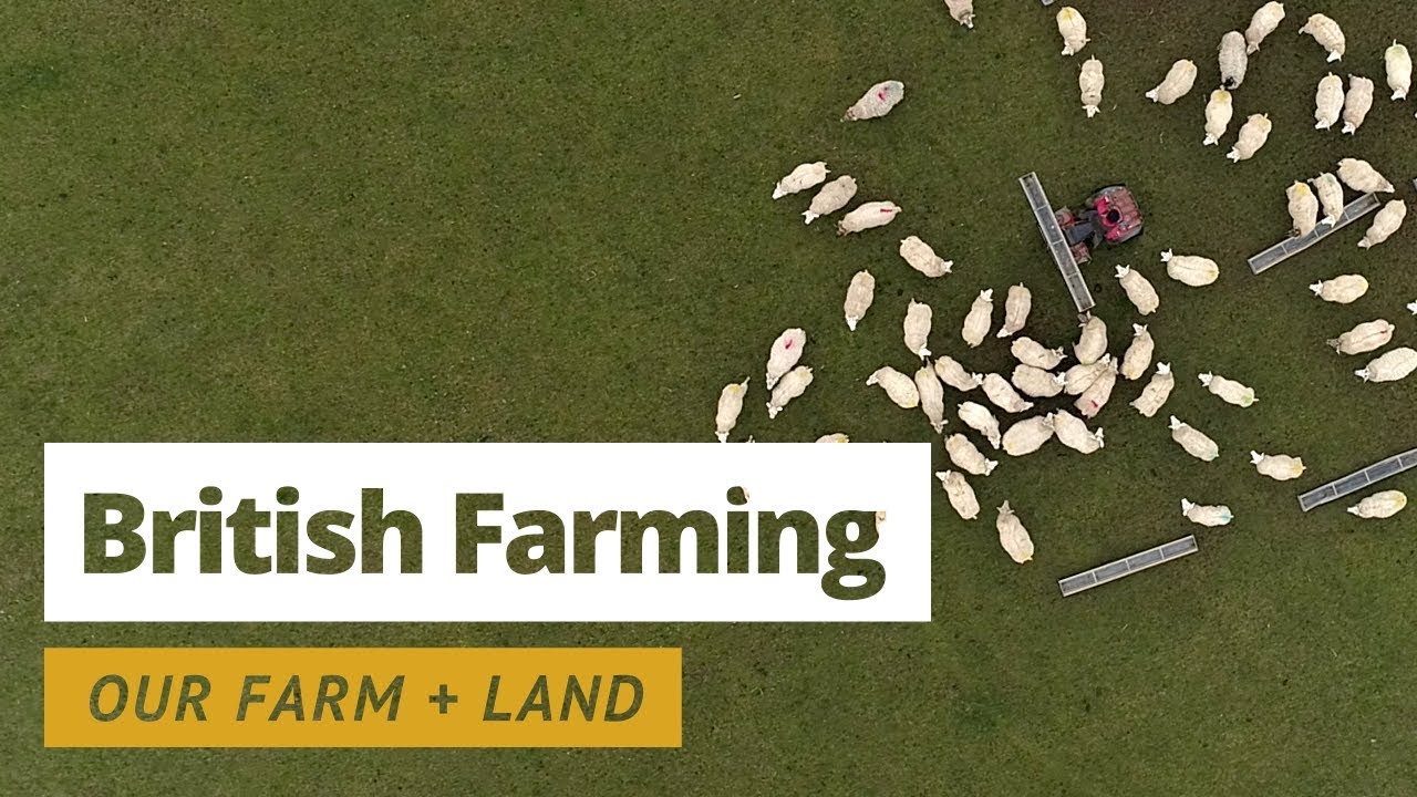 British Farming | Our Farm + Land: Setting the Scene
