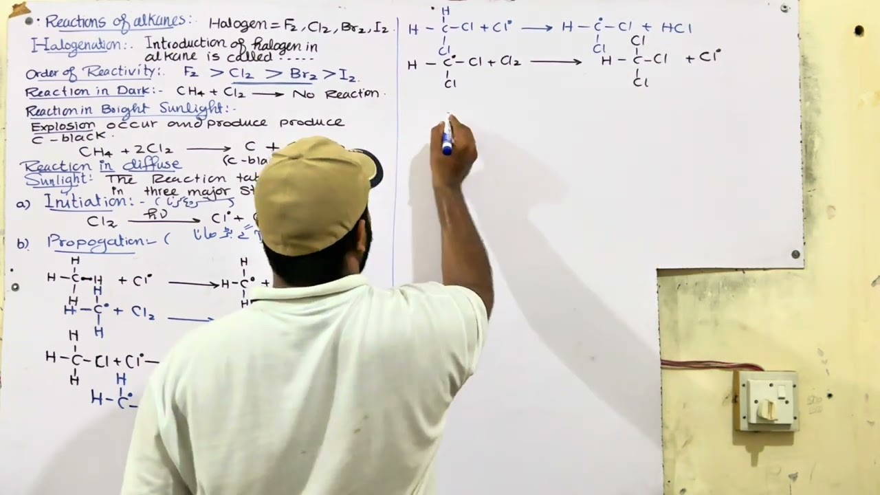 Halogenation || chapter 8 class 12th chemistry || organic chemistry