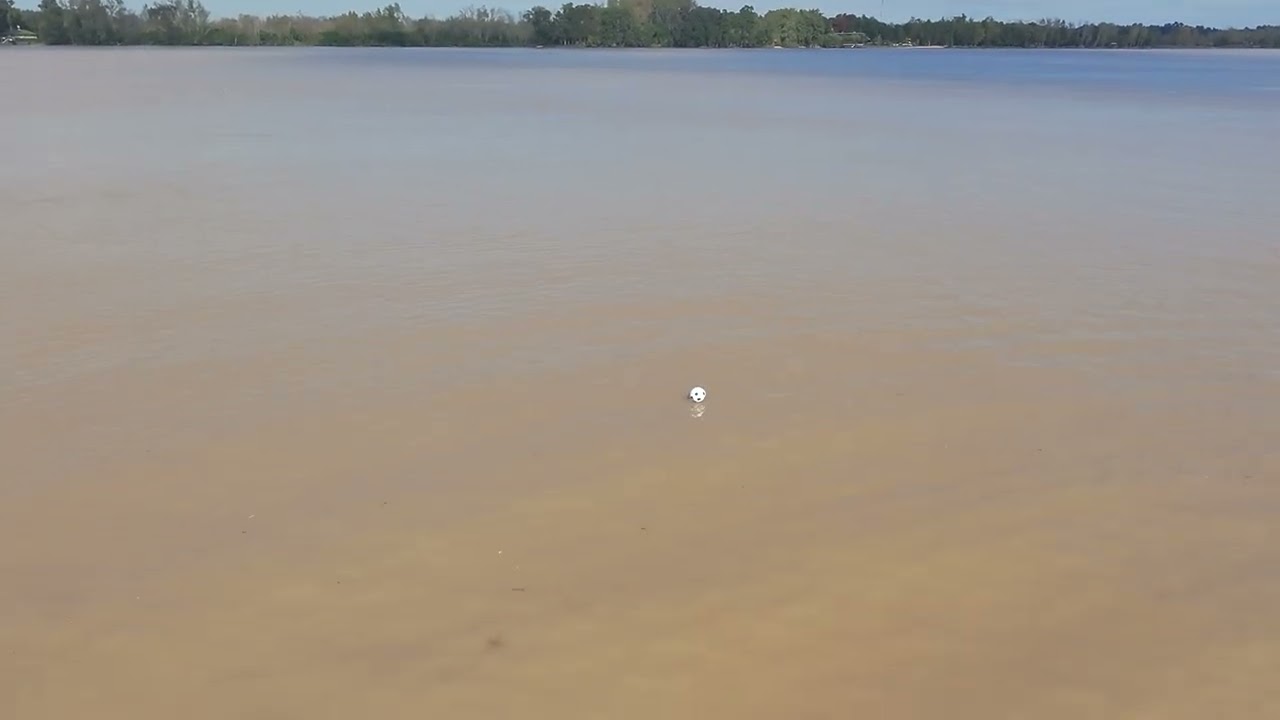 El rescate de la pelota