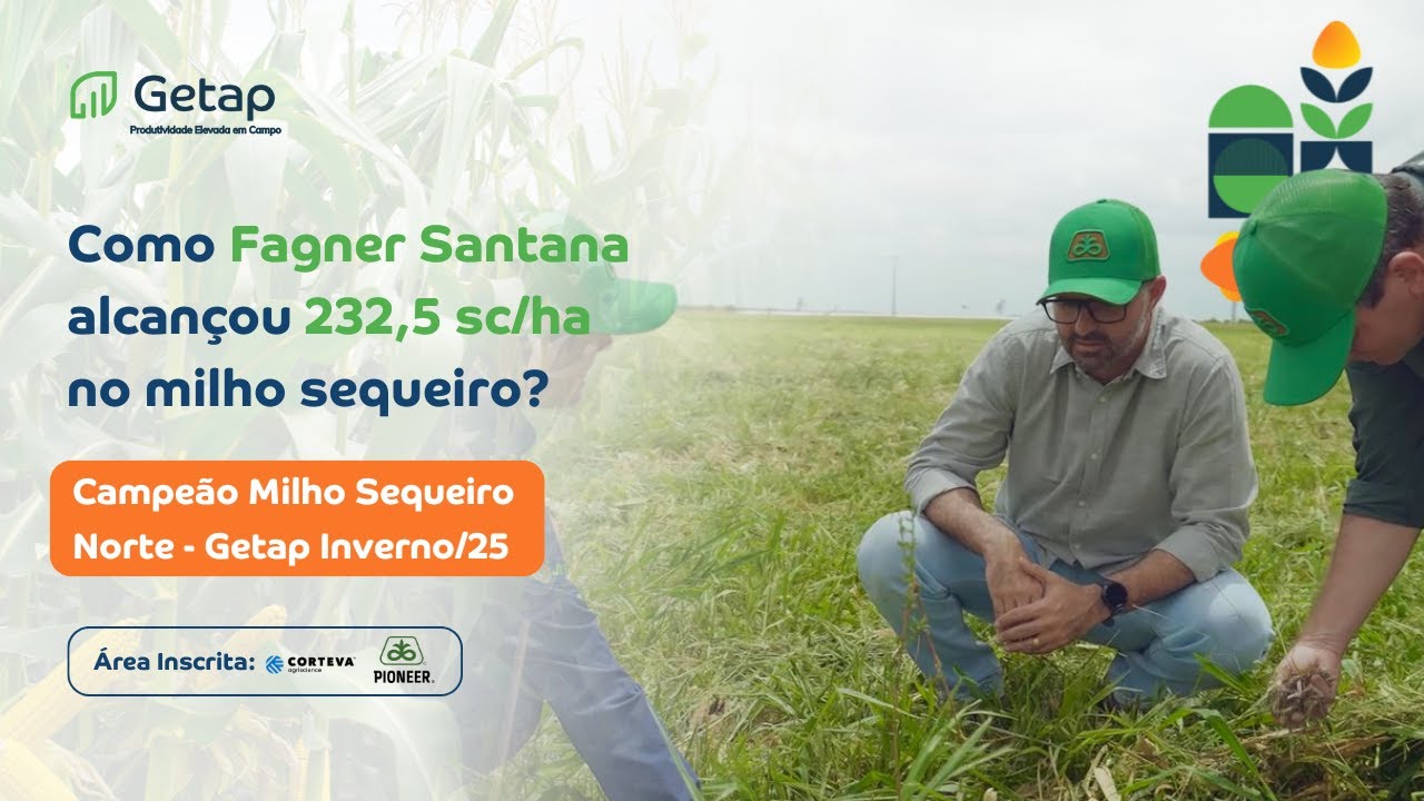 Visita Técnica | Fagner Santana – Campeão de Milho Sequeiro | Concurso GETAP Inverno/25