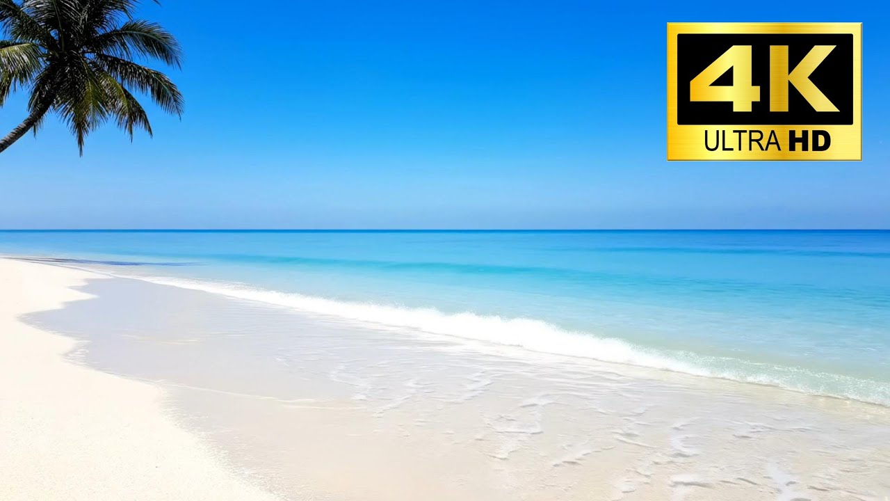 Tropical Beach waves and relax sound 1H #waves #oceanwaves #relax
