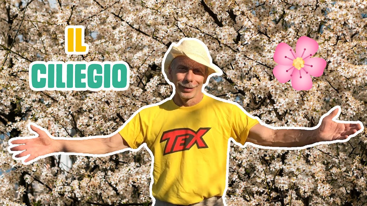 GIOVA LOVES NATURE 🌳 - Ep.4 - Il cuore tenero del CILIEGIO