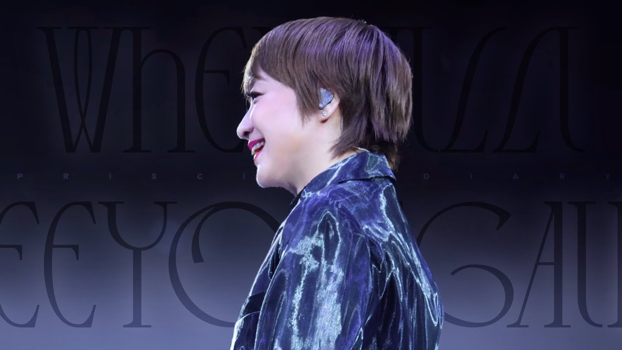 [4K][Fancam] 251108 The Fabulous 40 Priscilla 陳慧嫻演唱會寧波場:幾時再見
