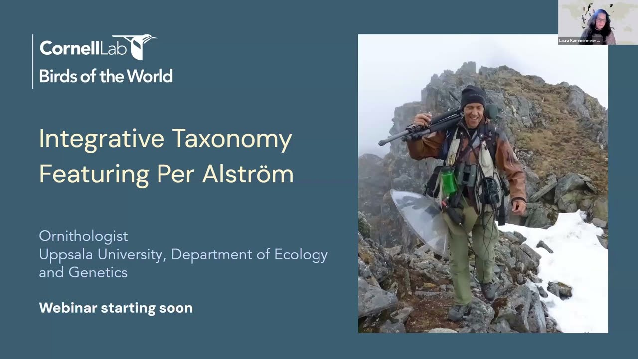 Integrative taxonomy – improved knowledge leading to an increase in number of species w/ Per Alström