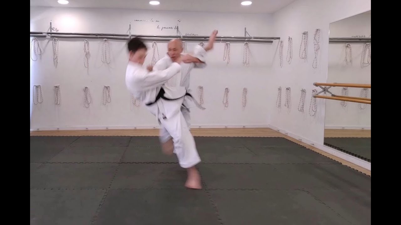 SEIPAI Bunkai