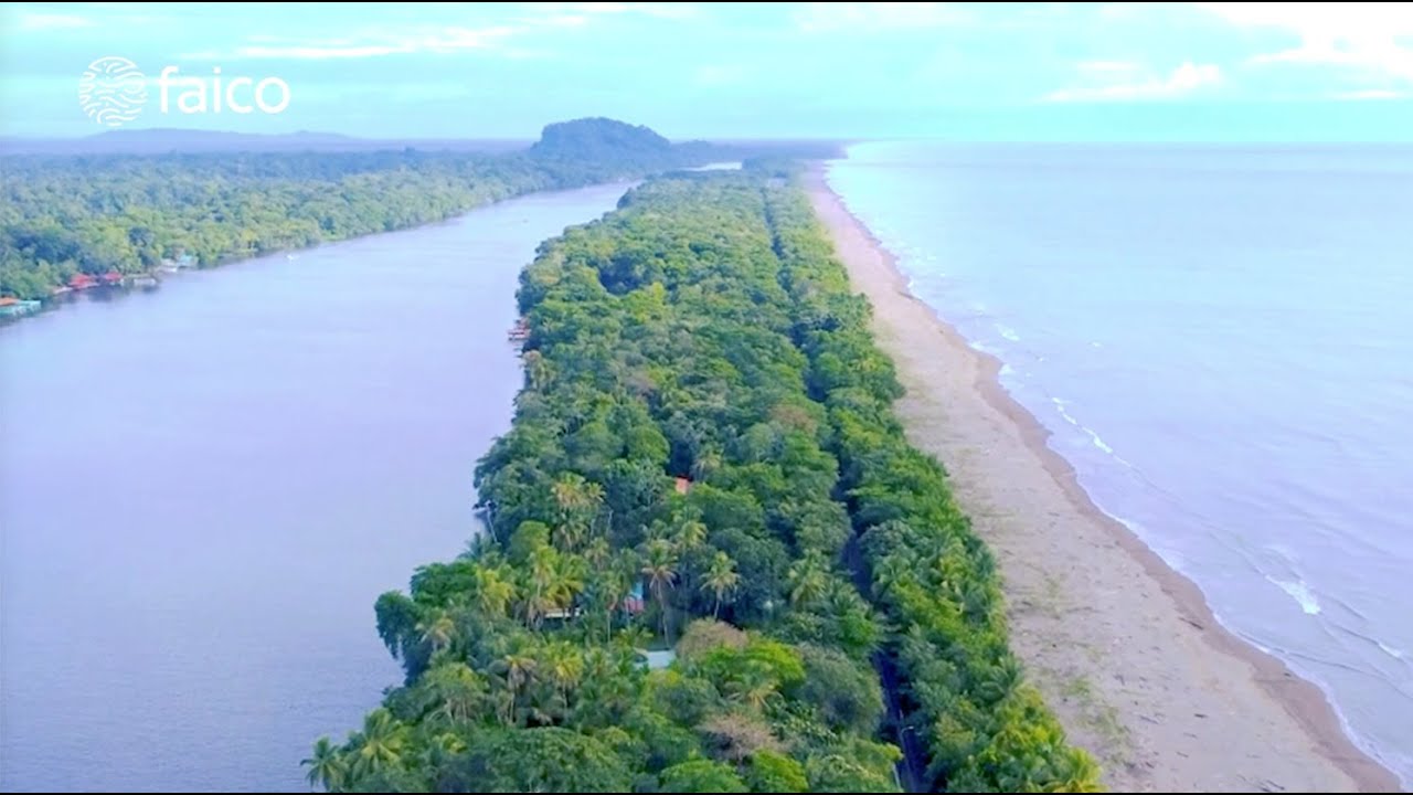 Día de los Parques Nacionales - FAICO 2023 - Costa Rica