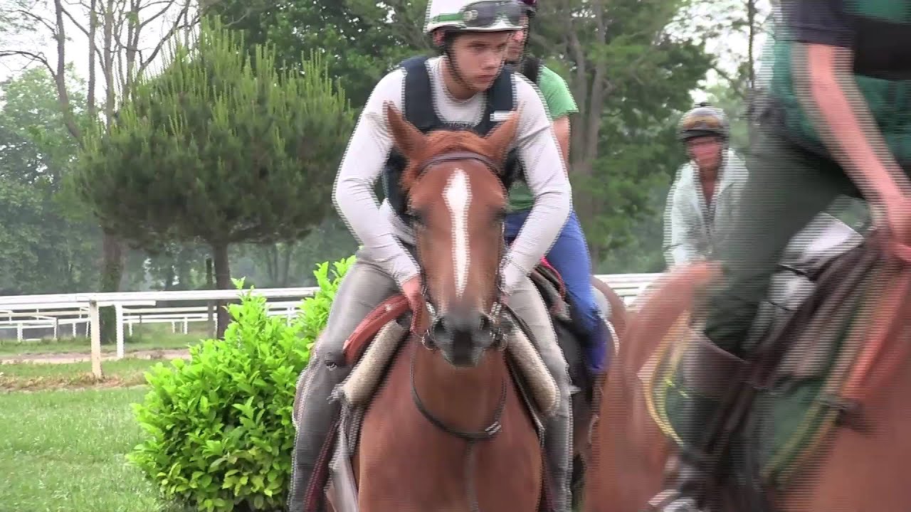 Présentation Ecurie Charles Gourdain