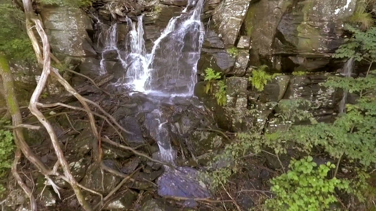 Ramhultafallet vid Lygnern 2017