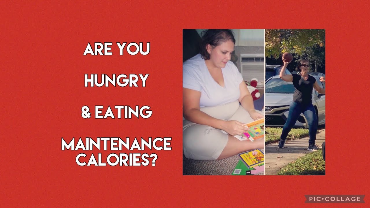 I'm Eating At Maintenance Calories But I'm Still Hungry