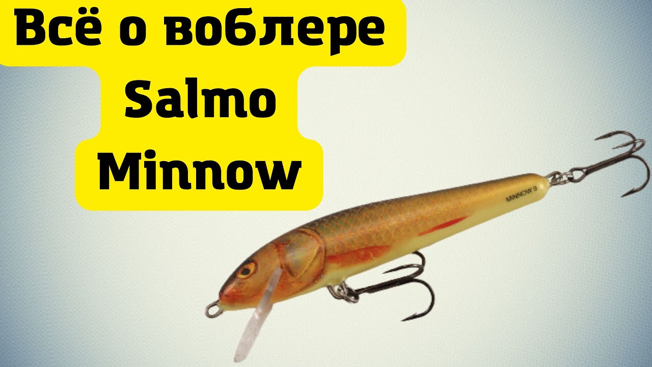Воблер Salmo Minnow - рабочая лошадка спиннингиста
