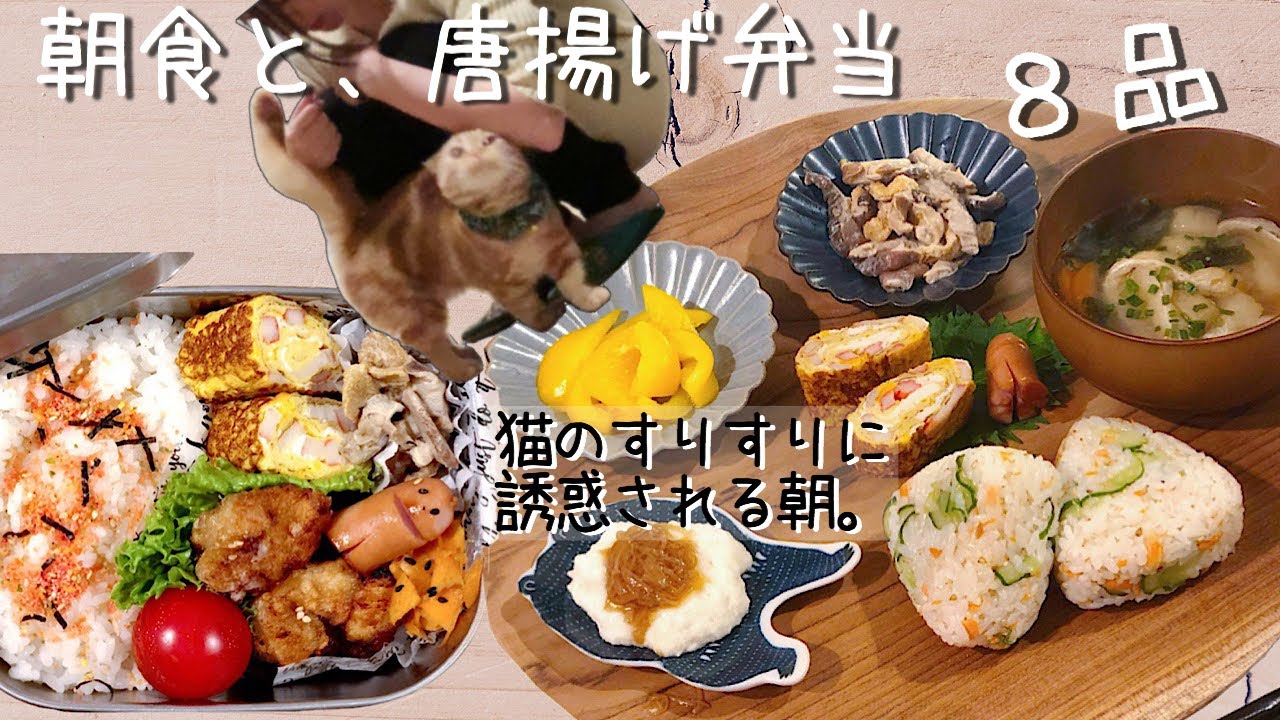 【料理動画♯37】誘惑猫とワンプレート朝食とから揚げ弁当【English sub】【obento】【猫動画】