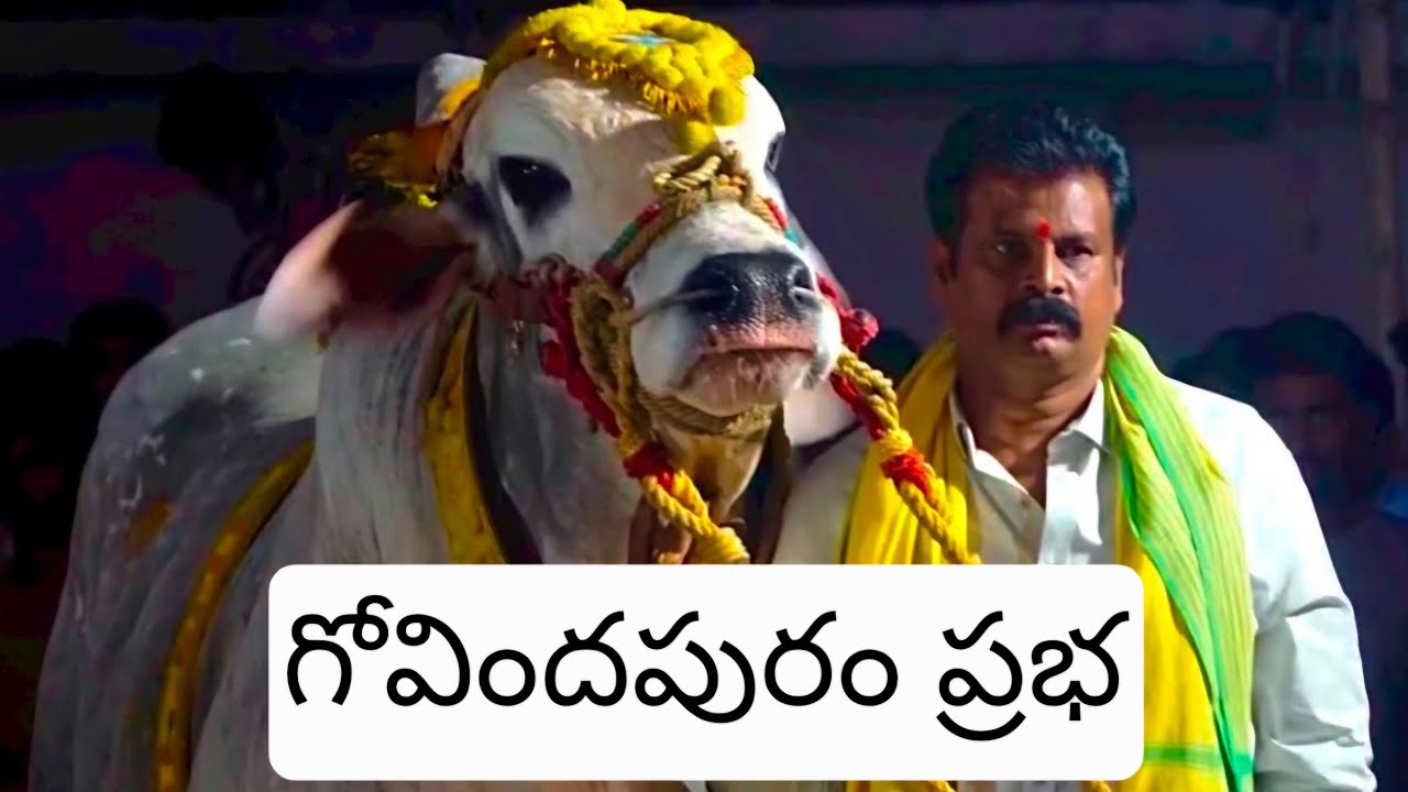 గోవిందపురం అభివృద్ధి ప్రధాత గుత్తా వెంకటేశ్వర్లు ఆశయ సాధన గోవిందపురం ప్రభ #om #kotappakonda #virel 
