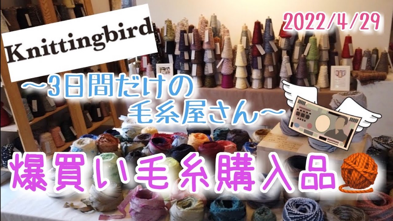 【毛糸購入品】ニッティングバードアトリエショップ〜3日間だけの毛糸屋さん〜爆買い毛糸🧶購入品【一期一会糸】