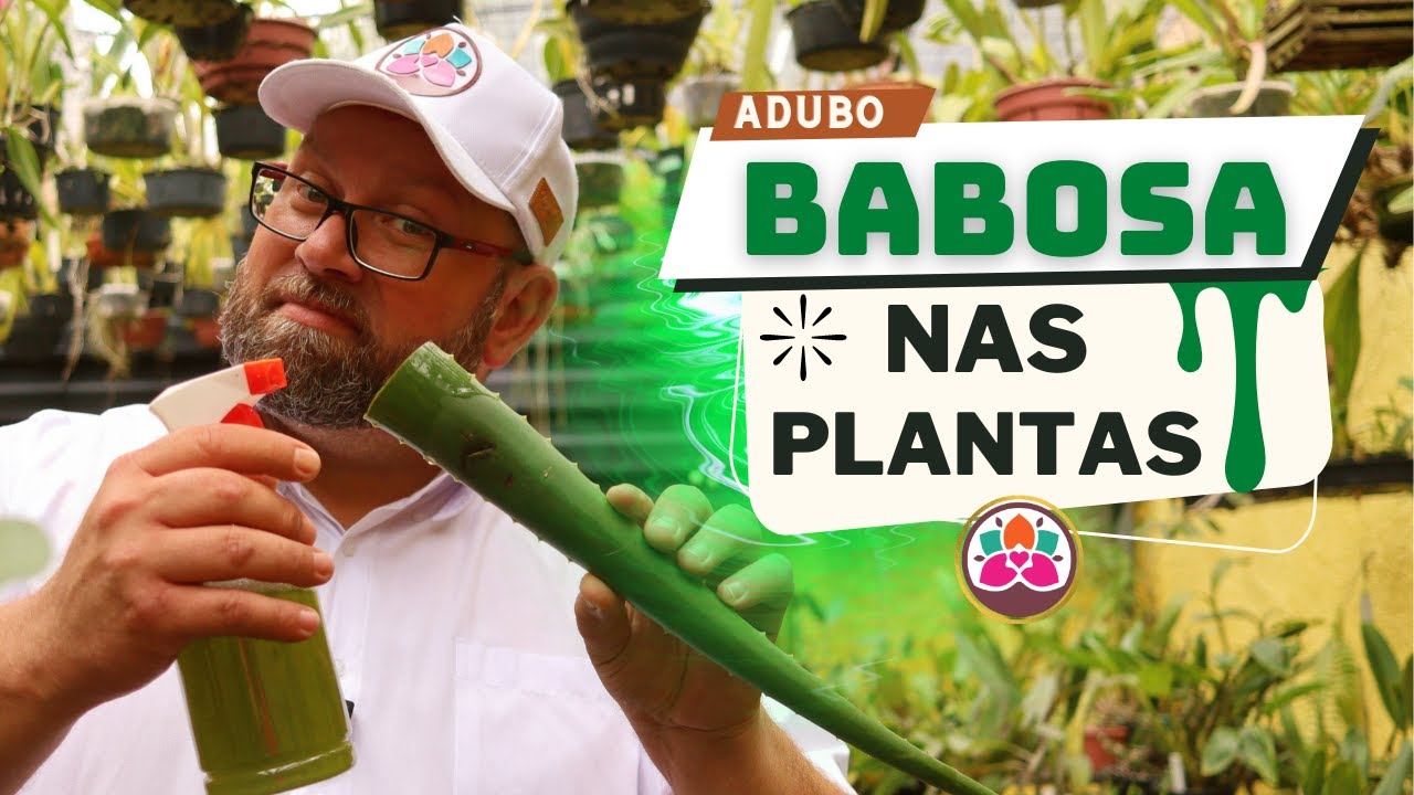 BABOSA: O milagroso ADUBO DA CLEÓPATRA para suas PLANTAS - A VERDADE