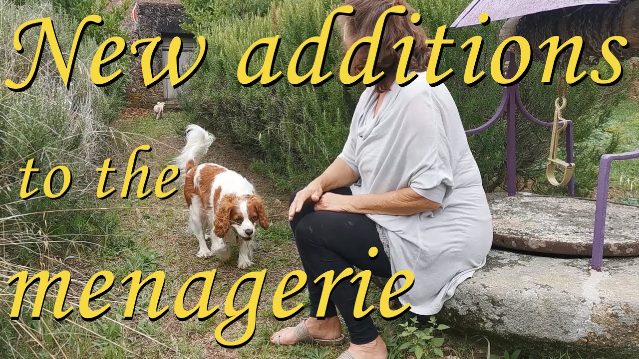 Episode 141 Welcoming 2 new residents to our French château