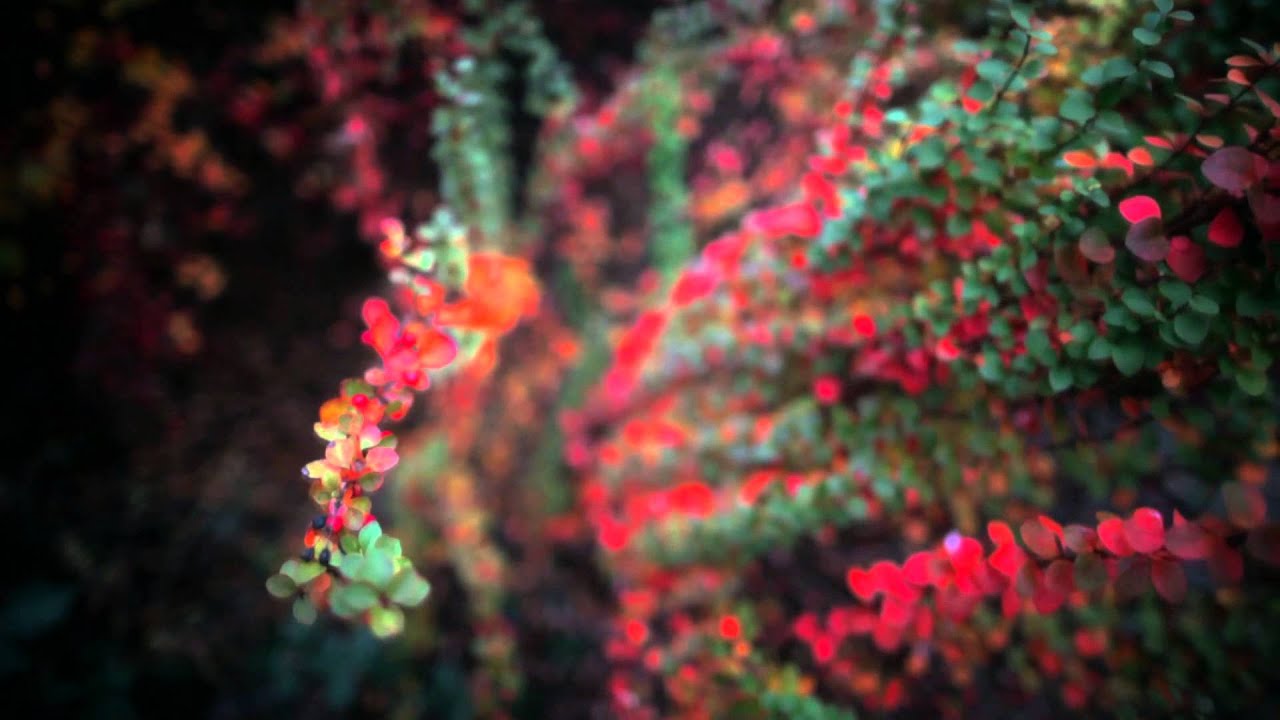 Bezsensu - Do siebie