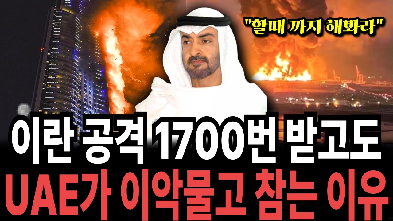 1700번이나 쳐맞고도 겁쟁이를 자처한 UAE의 진짜 이유, 국가의 자존심 VS 1경 원짜리 사업. 당신이라면 뭘 택하겠습니까?