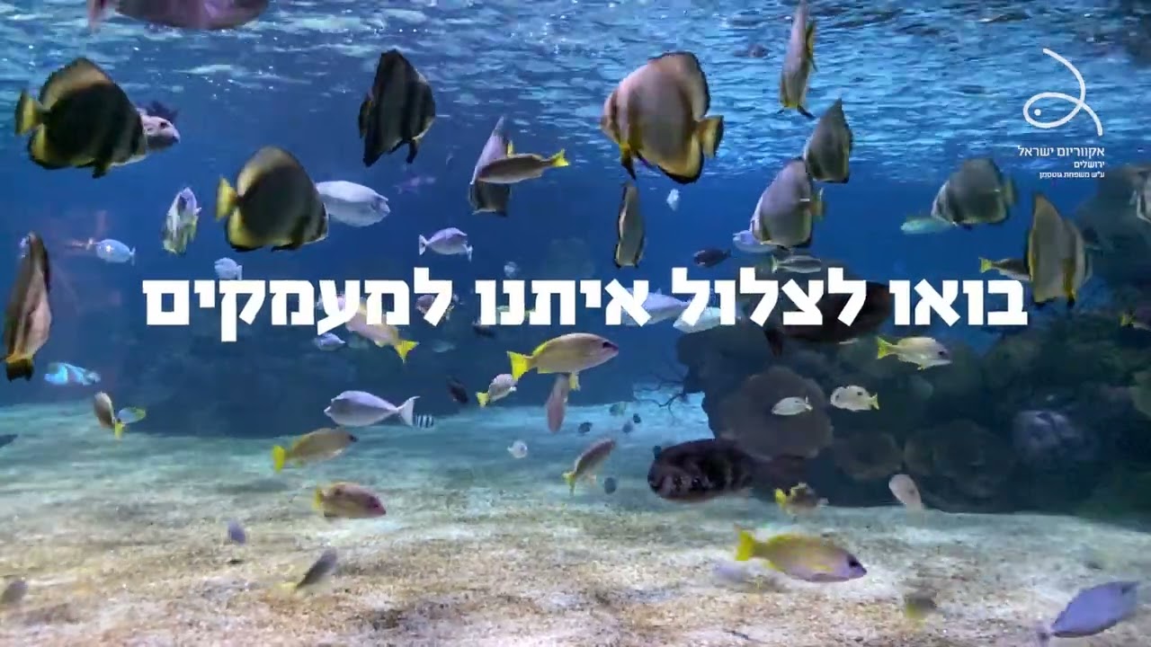 אקווריום ישראל