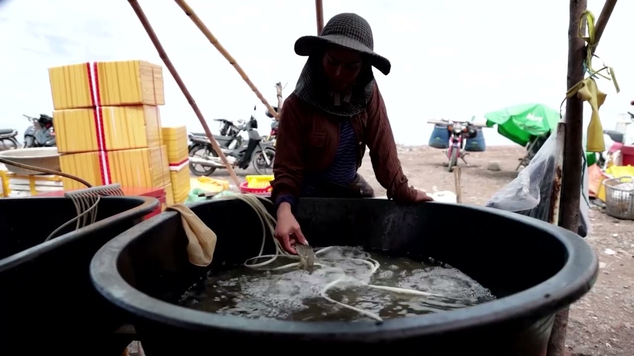 Cambodia fishermen struggle as the sea warms