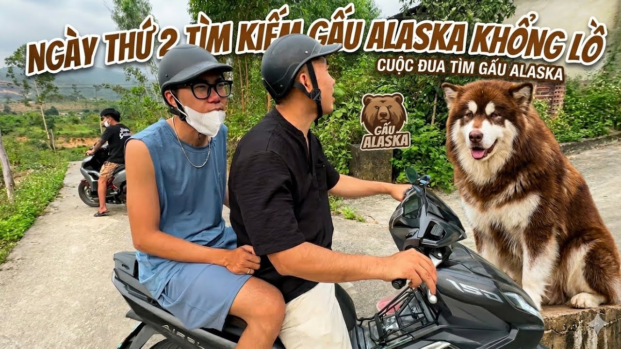 Ng&agrave;y 2 T&igrave;m Kiếm Gấu Alaska Nhiều Trắc Trở Dương KC | CN Tinh Nghịch