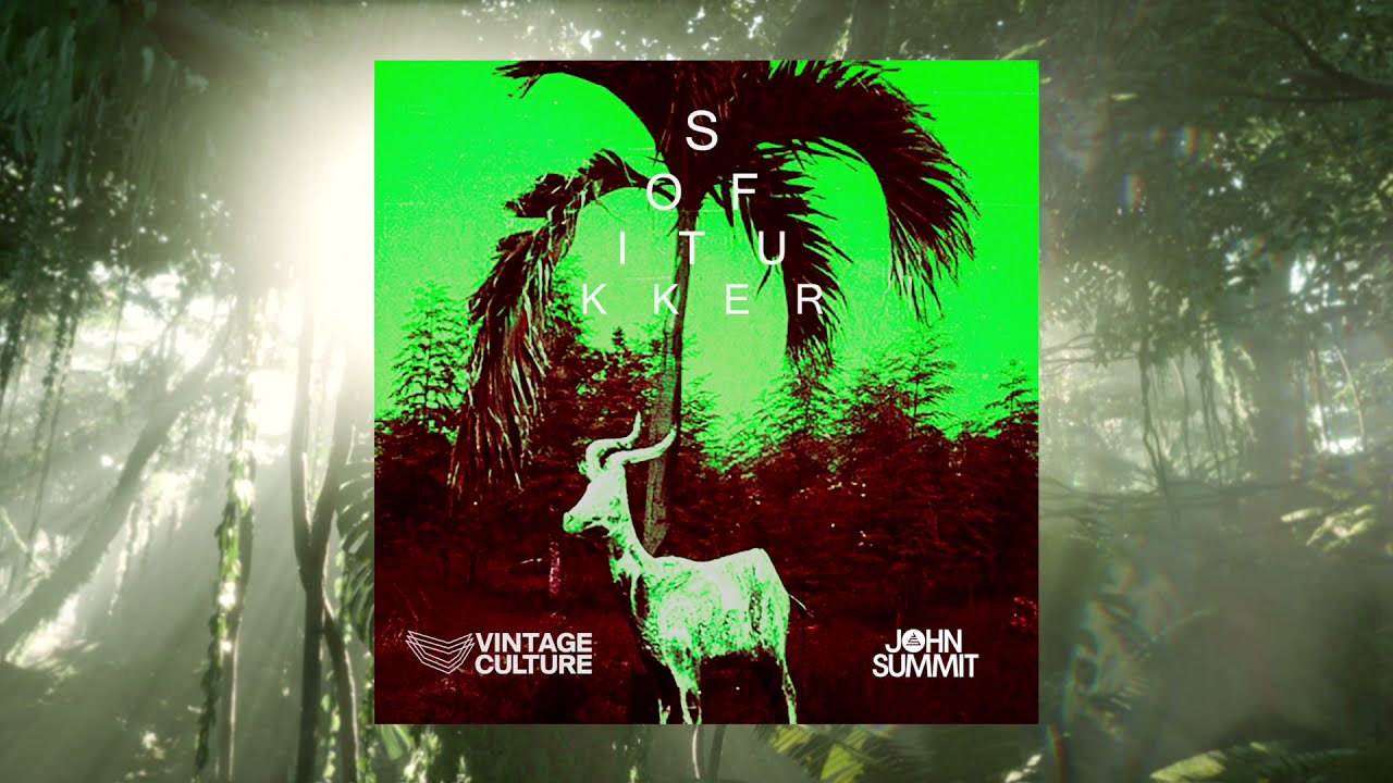 Sofi Tukker - Drinkee (Vintage Culture & John Summit Remix)
