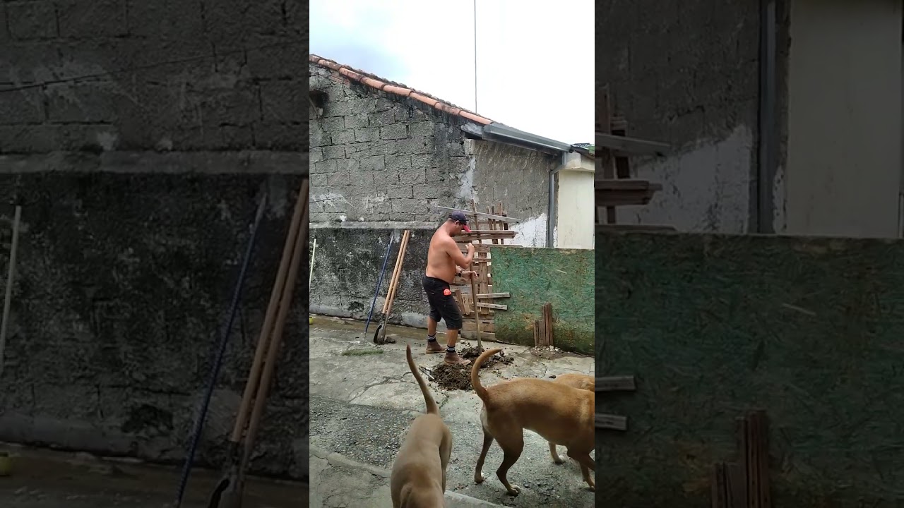 3 de março de 2026