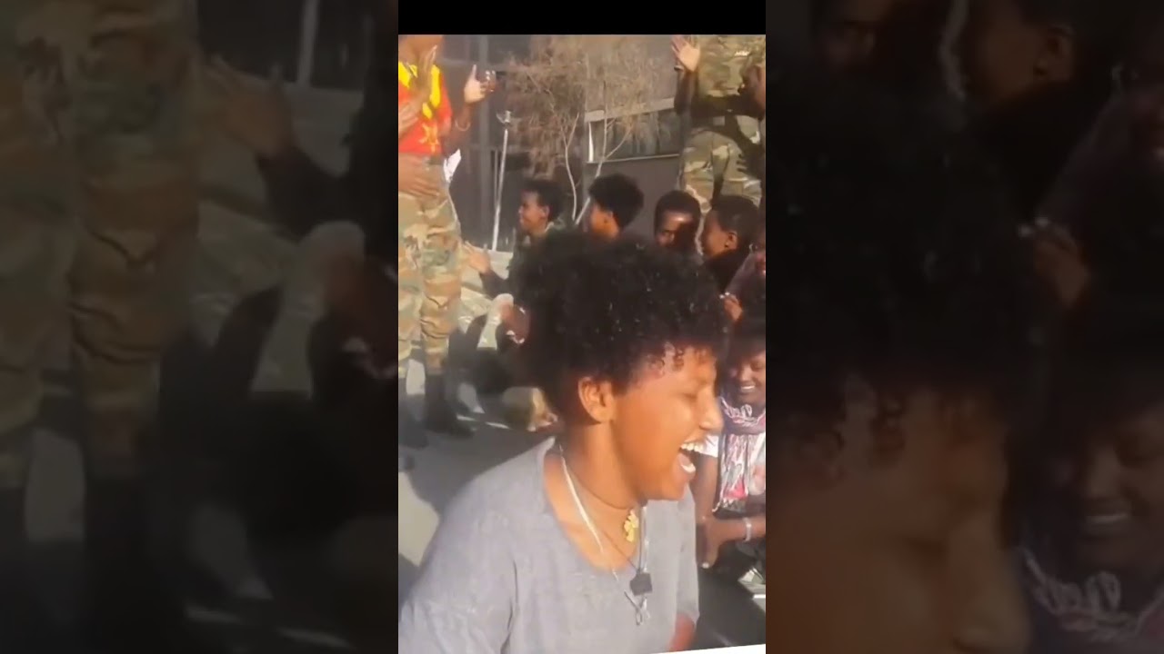 ዋዕሮታት ተጋደልቲ ኣባላት ኮር 443