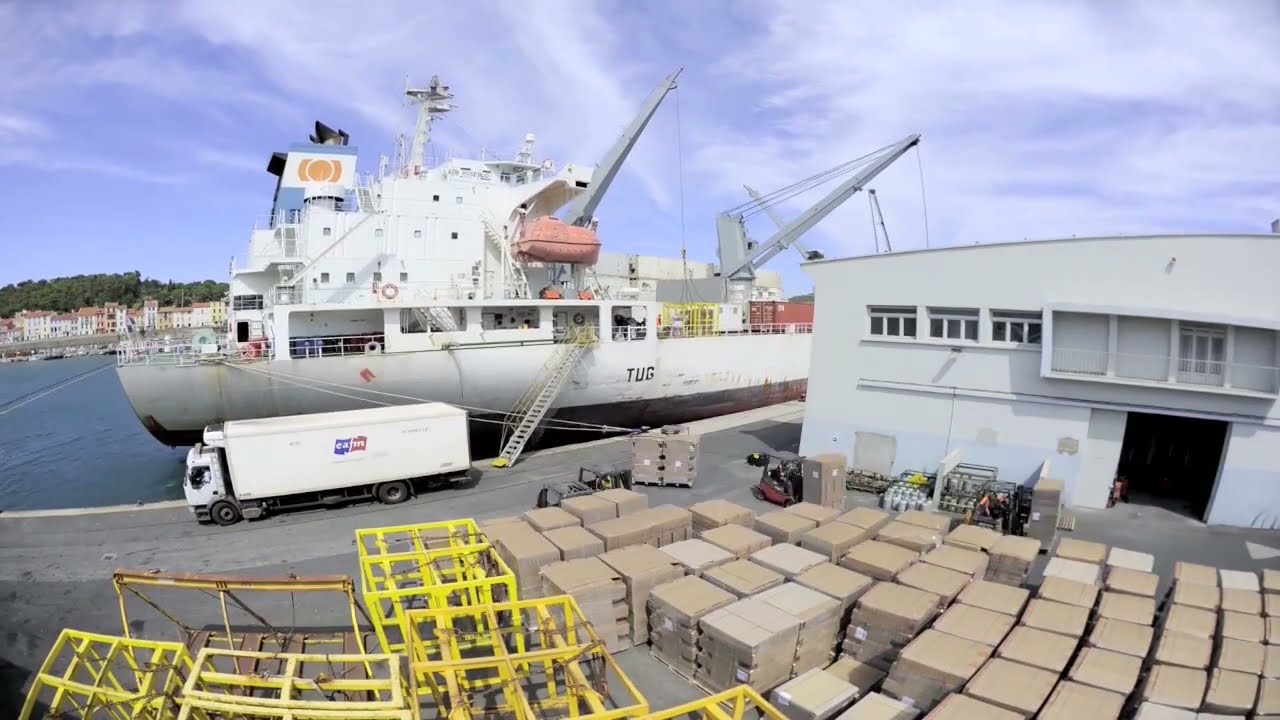 Travail des dockers au port de Port-Vendres (66)