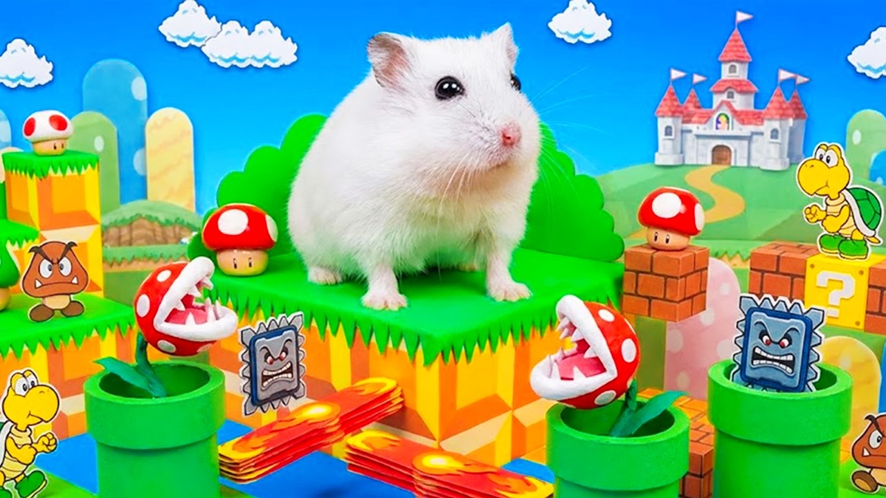 Hamster Escapes Traps & Colorful Obstacles in Dangerous Maze | Hamster Maze