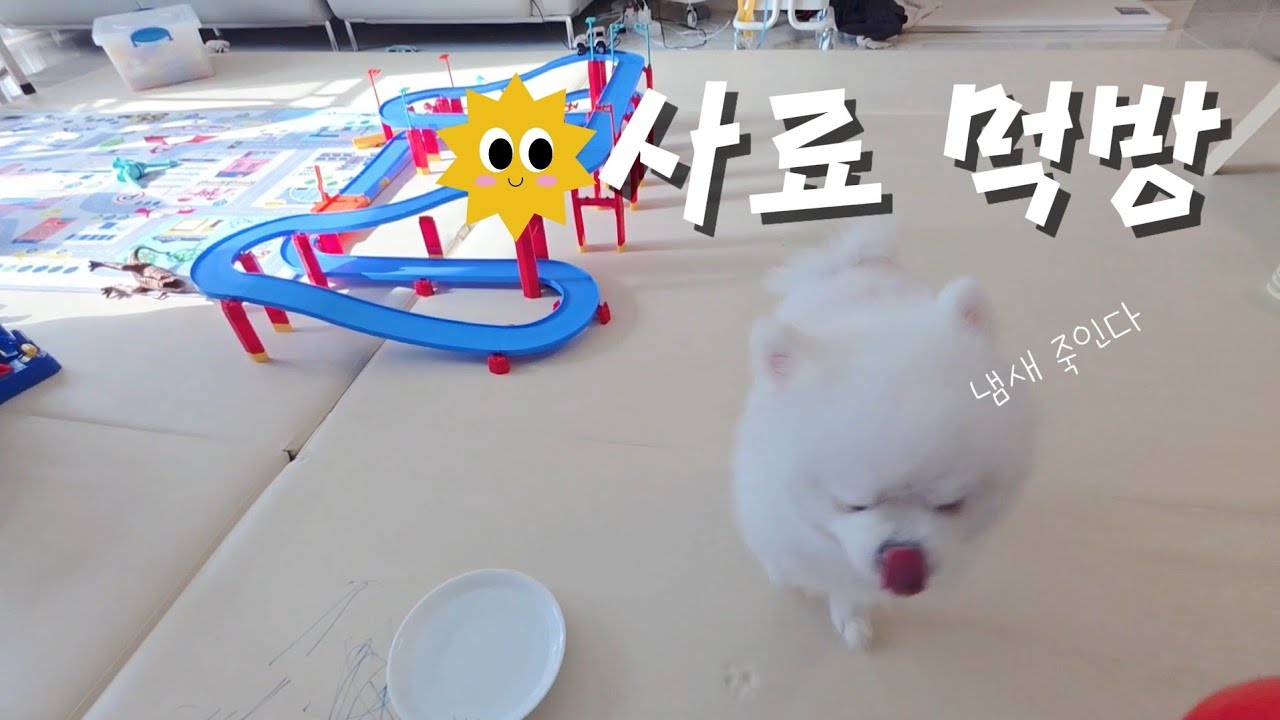 닭가슴+사료 먹방(ASMR)