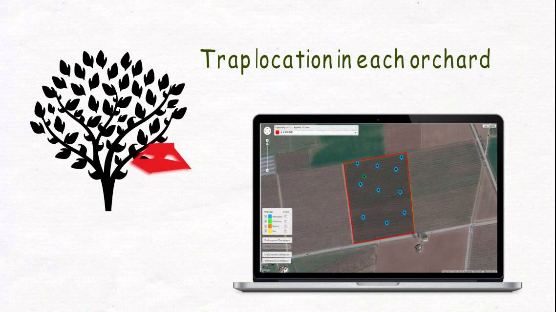 Pitch Video for MINT - Monitoring of INsect Traps, ifarma add-on App