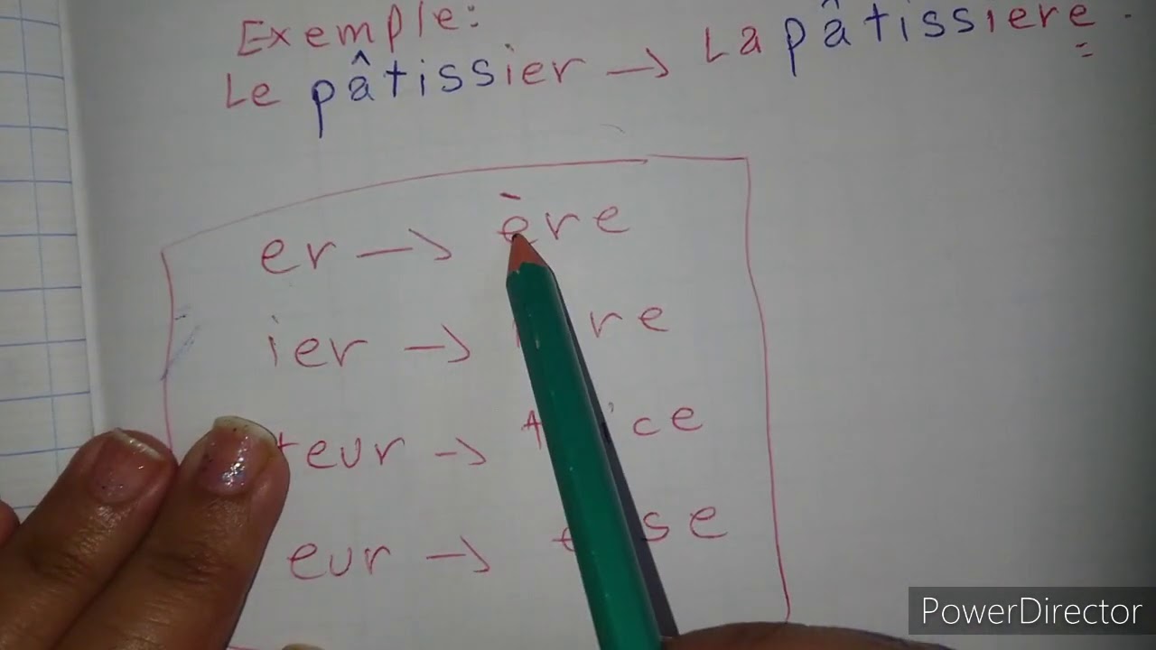 projet 1 séquence 2 (4 AP) le féminin des noms en: eur _ teur _ ier _ er c'est important ♥
