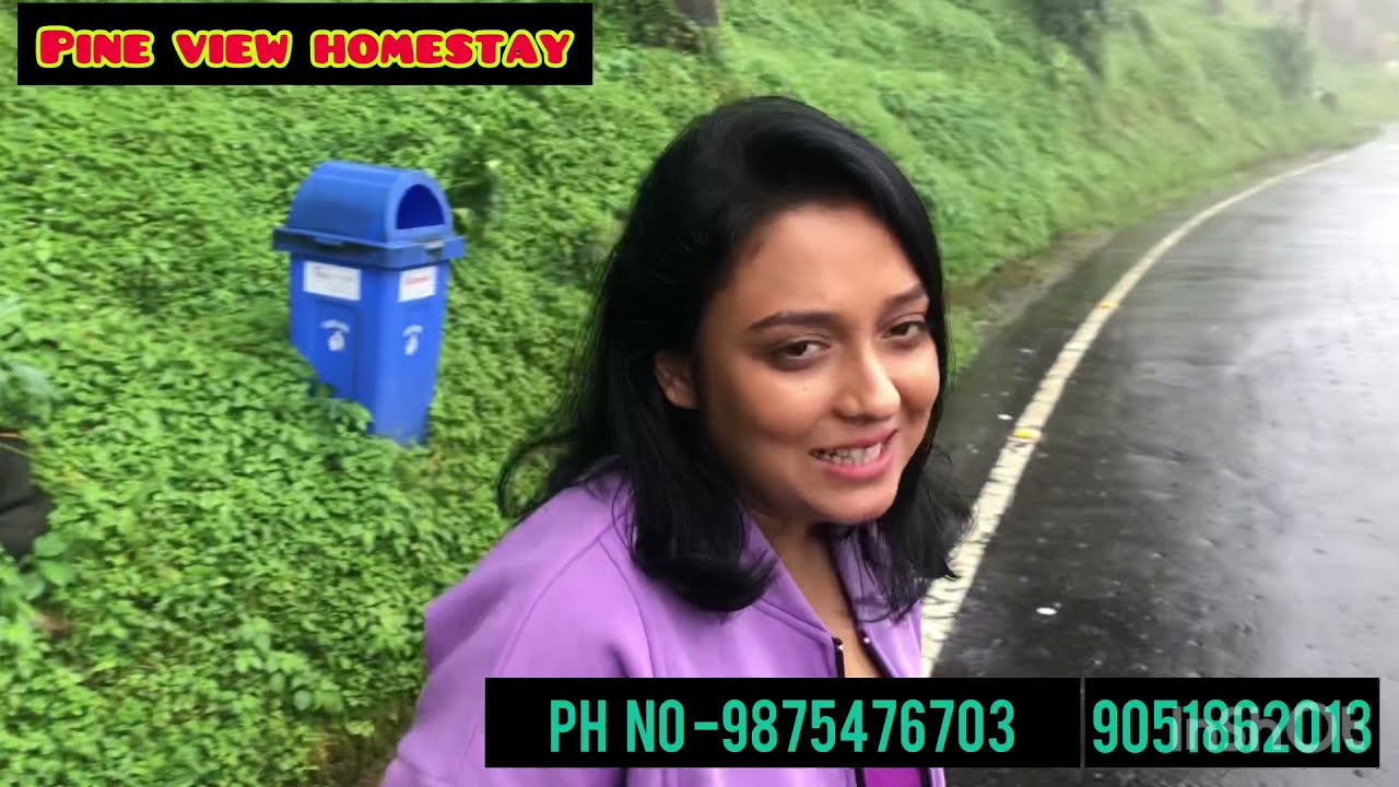 Pine view homestay at lepchajagat ( the best homestay ever)